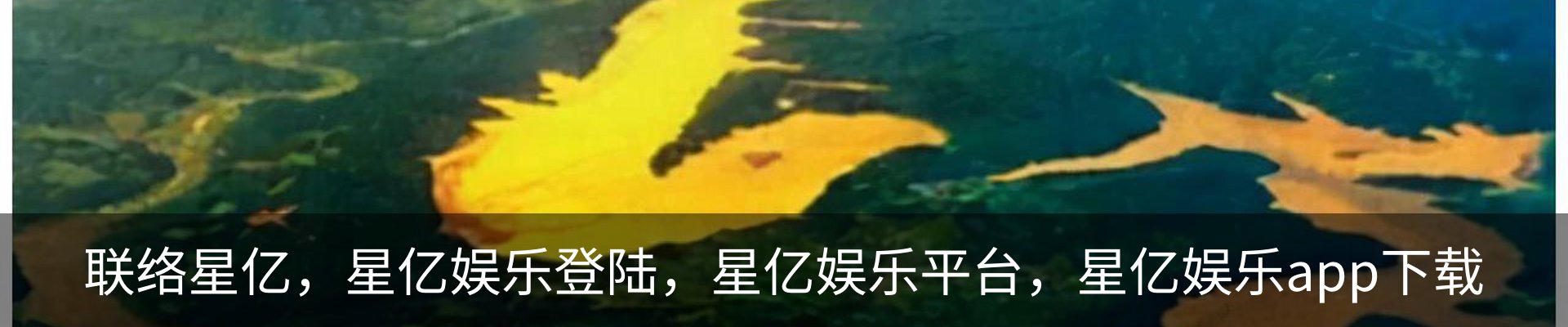 联络星亿，星亿娱乐登陆，星亿娱乐平台，星亿娱乐app下载